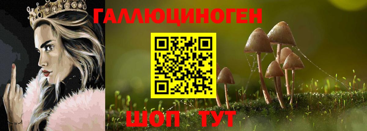 закладка  Вход с VPN  Борисоглебск  Галлюциногенные грибы мухоморы 